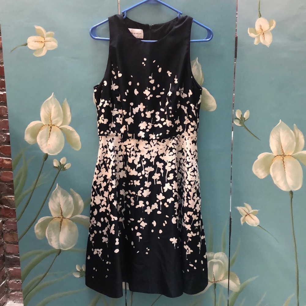 Donna Morgan Fit and Flare